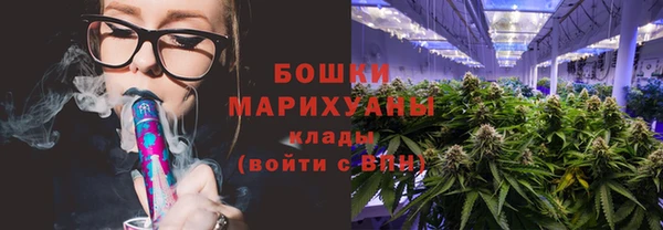 бошки Алексин
